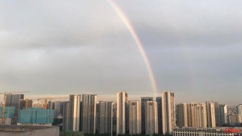 成都彩虹最新爆料,揭秘神秘事件背后的真相